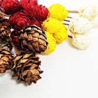 Bunga Kering Alami Grosir Flora Musim Panas, Bunga Hias Kerucut Pinus untuk Dekorasi Rumah