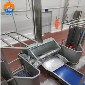 Machine à dépecer les bovins haute performance en acier inoxydable, équipement d'abattoir pour l'installation de transformation du bétail halal - Product Image 5