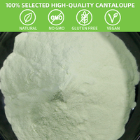 SAIYANG Vente en gros de poudre de jus de melon 100% naturelle, poudre de melon Honey Dew, poudre de cantaloup de qualité supérieure