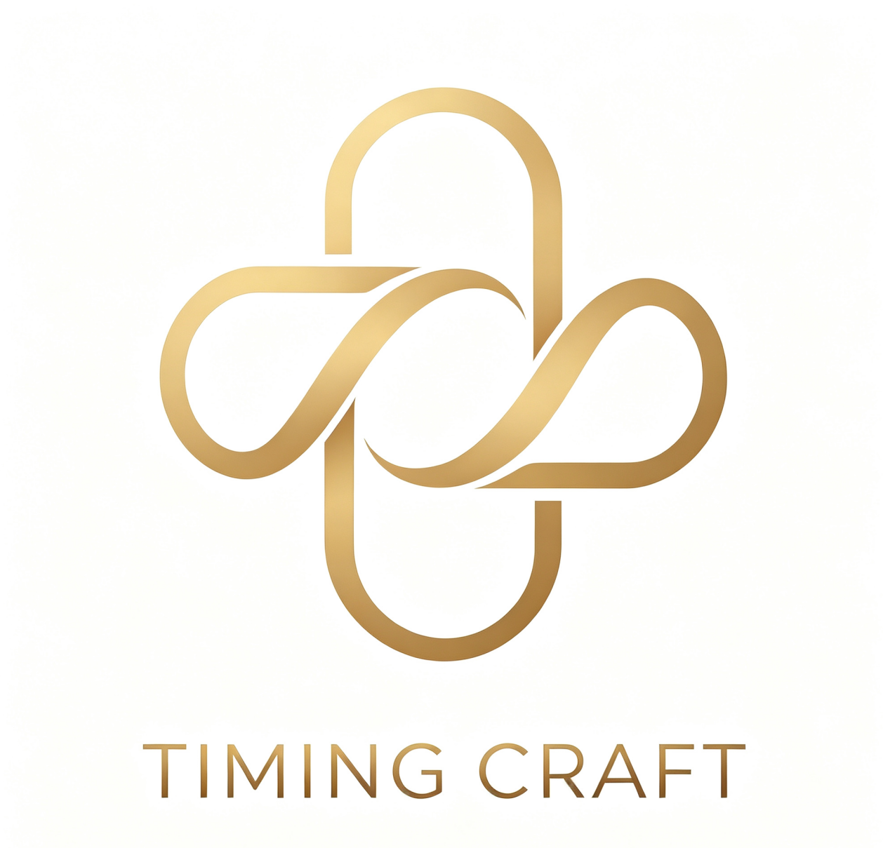 Shenzhen Timing Trading Co., Ltd. logo