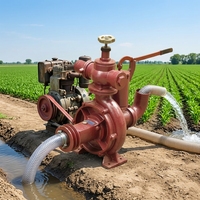 Pompe à eau manuelle 80BP-65-230 de 3 pouces, 70 m³/h, hauteur de refoulement 70 m, 18,5 kW, pour irrigation agricole
