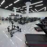 Cage de musculation Olympic avec barre de traction pour entraînement de force commercial