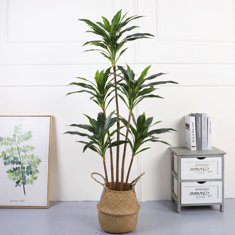 140 ซม., 5 ก้าน