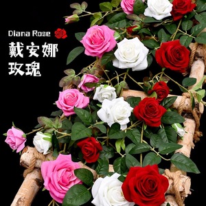 ดอกกุหลาบประดิษฐ์ Diana Rose สายพันธุ์กุหลาบพลาสติก ดอกไม้ผ้าไหมประดับงานแต่งงาน ตกแต่งภายนอกบ้าน ปิดผนังบ้าน - Product Image 1