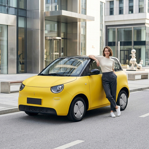 Mini voitures neuves Dongfeng Forthing C1, conduite à gauche, autonomie de 220 km, intérieur lumineux, mini SUV électrique, voitures électriques EV - Product Image 1