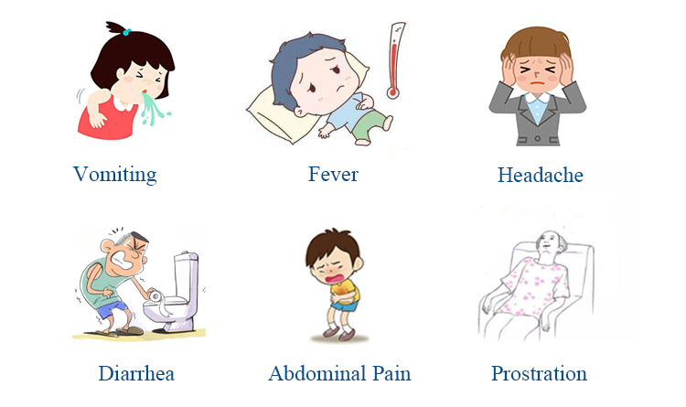 FSTest Foodborne Pathogens Salmonella Screening Media Plate Milk Bakery Beverage Eggs Meat Test