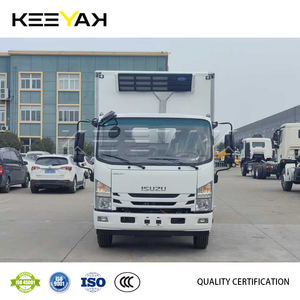 <span class=keywords><strong>Camion</strong></span> <span class=keywords><strong>frigorifique</strong></span> Isuzu 4x2 avec caisse isotherme, <span class=keywords><strong>hayon</strong></span> relevable, pour le transport de produits surgelés, à vendre - Product Image 3