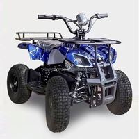 Voiture électrique tout-terrain Xiaotongyao XTY 0990 pour la plage et les parcs d'aventure, homologuée route, en aluminium, 36V250W, fabriquée à Guangzhou
