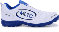 Chaussures de sport synthétiques bleues et blanches, légères, respirantes, confortables, antidérapantes, pour le cricket, la course à pied, été, printemps, automne, hiver, usage quotidien