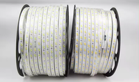 Bande lumineuse LED étanche IP68 à double rangée 5730, 100 mètres, haute luminosité, 110 V/220 V