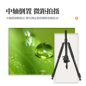 Professional Tripod Aluminum Alloy 3 Section Twist Lock Portable <b>Digital</b> <b>Camera</b> Support - Product Image 4