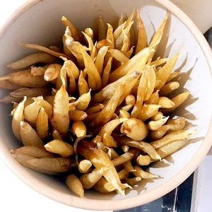 Fût en carton premium CH pour poisson séché et isinglass |   Conteneur de stockage alimentaire écologique résistant à l'humidité - Product Image 4