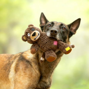 Toptan doldurulmuş karın aplike Pet interaktif köpek çiğnemek oyuncak komik ayı gıcırtılı köpek köpek oyuncaklar - Product Image 2