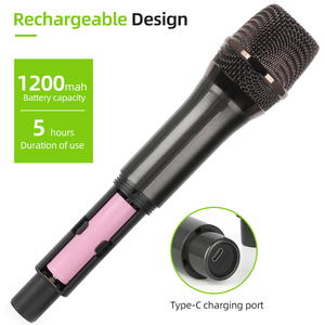 RAYHAYES RG-H9S 2.4G ワイヤレスマイク ハンドヘルド充電式マイク カラオケパフォーマンスに最適 - Product Image 4