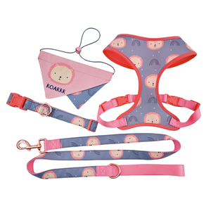 Personal isierte niedliche Regenbogen Druck Designer Farbkontrast Hund Bandana Hunde geschirr Halsband und Leine Set mit benutzer definierten Druck - Product Image 1