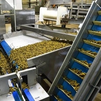 Ligne de transformation automatique des cornichons pour la mise en conserve, incluant mélangeur, friteuse, laveuse, pasteurisateur, nouvelle production de concombres marinés et de fruits