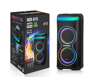 NDR-815 8-Inch Hoạt Động Không Dây Bt Karaoke Loa 2 Mic Đầy Màu Sắc Ánh Sáng Stereo Bass Hi-Fi Âm Nhạc Đảng Loa Ngoài Trời Sử Dụng - Product Image 1