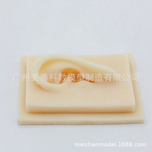 Modelo de oído simulado 1:1 para adultos, oído humano, tipo timpano, oído de silicona para acupuntura (oreja derecha) - Product Image 4