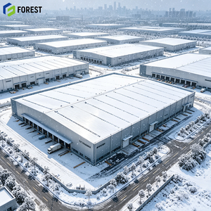 Parque Logístico de Estructura de Acero, Almacén Metálico, Resistente al Viento, de Alta Resistencia, Ahorro de Energía, Centro de Distribución Industrial - Product Image 1