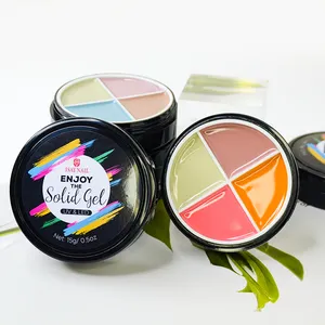 Palette de crème de vernis à ongles en gel solide en gros d'usine naturellement inoffensif 15G vernis à peinture en gel solide