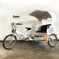 ESTER Tricycle électrique pour le tourisme, Tricycle à différentiel, Rickshaw électrique