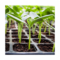 Plateau de semis pour fruits, légumes et fleurs, plateau de semis pour la propagation des graines et le système de culture hydroponique sans terre