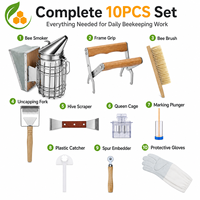 Kit d'outils d'apiculture de qualité supérieure, 10 pièces, en acier inoxydable, pour apiculteur professionnel, utilisation en ferme
