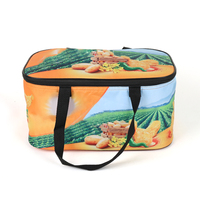 Sac de pique-nique thermique imperméable avec doublure en EVA, sac isotherme portable avec poche intérieure zippée pour barbecue et plage