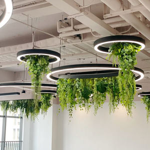Lumière <span class=keywords><strong>de</strong></span> croissance des plantes LED circulaire personnalisée, <span class=keywords><strong>luminaire</strong></span> suspendu pour bâtiment <span class=keywords><strong>de</strong></span> bureaux, éclairage <span class=keywords><strong>de</strong></span> style lustre, fabrication directe d'usine - Product Image 3