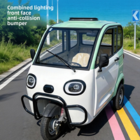Triciclo Eléctrico Totalmente Cerrado para Uso Doméstico, Vehículo de Nueva Energía Pequeño para Mujeres con Techo, Ideal para el Transporte Diario de Ancianos