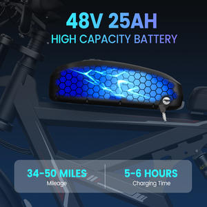WO18 전기 자전거 2000W 듀얼 모터 25AH 배터리 20 ''뚱뚱한 타이어 & 성인을위한 음악 플레이어 전자 자전거 내장 - Product Image 3