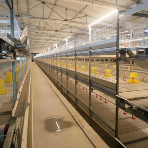 Cages à poulets de chair étanches à l'humidité à plusieurs niveaux pour les fermes basses en bordure de rivière Drainage rapide Anti-moisissure Éviter l'engorgement - Product Image 1