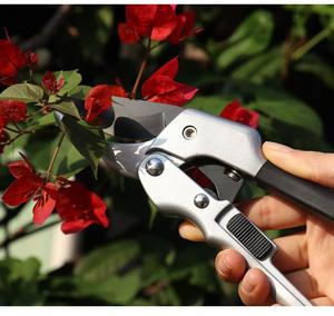 Ciseaux papillon étendus <span class=keywords><strong>à</strong></span> haute altitude <span class=keywords><strong>Sécateur</strong></span> télescopique Lames de 65mm Garantie de 3 ans Couteaux de jardinage essentiels Outils d'élagage - Product Image 2