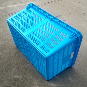 Cesto di Stoccaggio Ventilato in Plastica <span class=keywords><strong>per</strong></span> Frutta e Verdura, Design Creativo, Fornitura Diretta dalla Fabbrica - Product Image 5