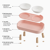 Bol surélevé moderne 2-en-1 en acier inoxydable pour animaux de compagnie, gamelle antidérapante à alimentation lente pour chats et chiens avec support