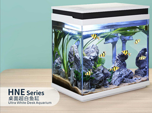 Série OEM HNE Aquarium transparent en verre HD Aquarium de bureau pour usage domestique Aquarium pour poissons - Product Image 3