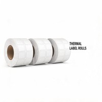 Rouleaux d'étiquettes thermiques directes écologiques - Adhésif amovible, imperméables, résistants à l'huile et aux déchirures, tailles personnalisées, prix d'usine