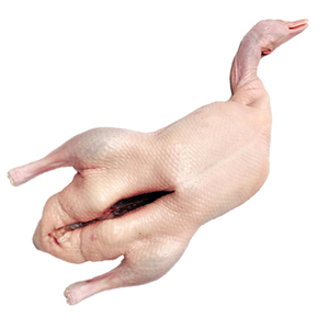 High-Demand <strong>Peking</strong> Halal Whole <strong>Duck</strong> Quality Assured Part-Frozen Grade a Low-Fat 24-Month Shelf Life for Global Distributors - Product Image 1