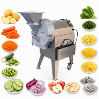 Multifunctionele zware groentesnijder, blokjes snijder, aardappel- en fruitchipsmachine