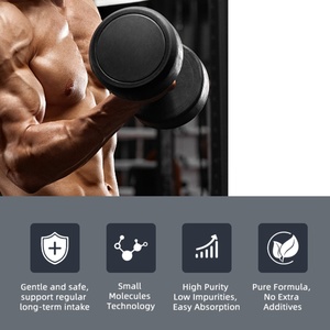 Cápsulas de Creatina Monohidrato OEM/ODM, Suplemento de Creatina, Apoya la Fuerza Muscular y la Resistencia al Ejercicio para Hombres y Mujeres - Product Image 2