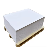 Nine Dragon Folding Box Board 230-400gsm papier ivoire 70*100cm