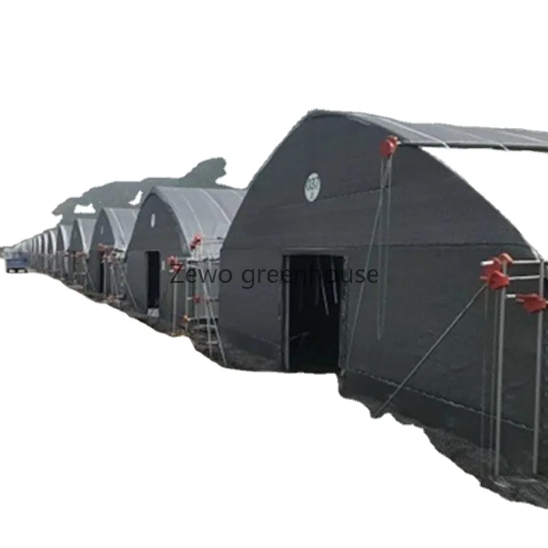 High Strength Commercial Agricultural Poly Tunnel Single-Span Green House Mushroom Greenhouse For Sale
