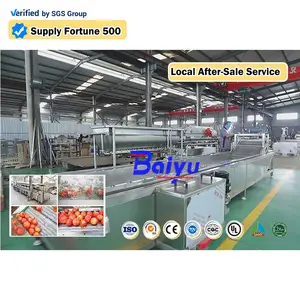 Hiệu quả cao trái cây blancher/rau hơi nước blanching máy