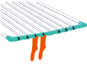 <span class=keywords><strong>ราว</strong></span><span class=keywords><strong>ตาก</strong></span><span class=keywords><strong>ผ้า</strong></span>แบบมีปีก พับได้และยืดหดได้ <span class=keywords><strong>ราว</strong></span><span class=keywords><strong>ตาก</strong></span><span class=keywords><strong>ผ้า</strong></span>สำหรับซักและตากผ้า - Product Image 5