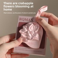Diffuseur d'air moderne parfumé à la bégonia pour chambre et armoire, parfum floral