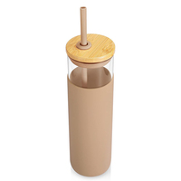 Cadeau promotionnel Logo personnalisé 500ml gobelets à eau en verre pour le camping avec manchon de protection en silicone couvercle en bambou et paille