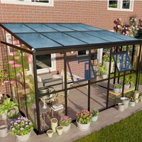 Serre en verre ROYAL PARK LEAN-TO avec structure en aluminium et paroi entièrement vitrée pour serre/véranda extérieure moderne