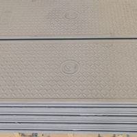 Couverture de regard en GFRP (fibre de verre renforcée par le plastique) pour les voies vertes, les trottoirs, les routes résidentielles, les routes urbaines, les ports, les terminaux de fret FT-M800SE