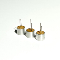Sonde piézoélectrique ultrasonique étanche SWT 10 mm 40 kHz, puce transducteur piézo passif pour pièces électroniques automobiles et industrielles