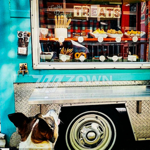 Mobile Donut Waffle Food Cart Fully Functional Cooking <b>Trailer</b> with Water Supply System - Product Image 4